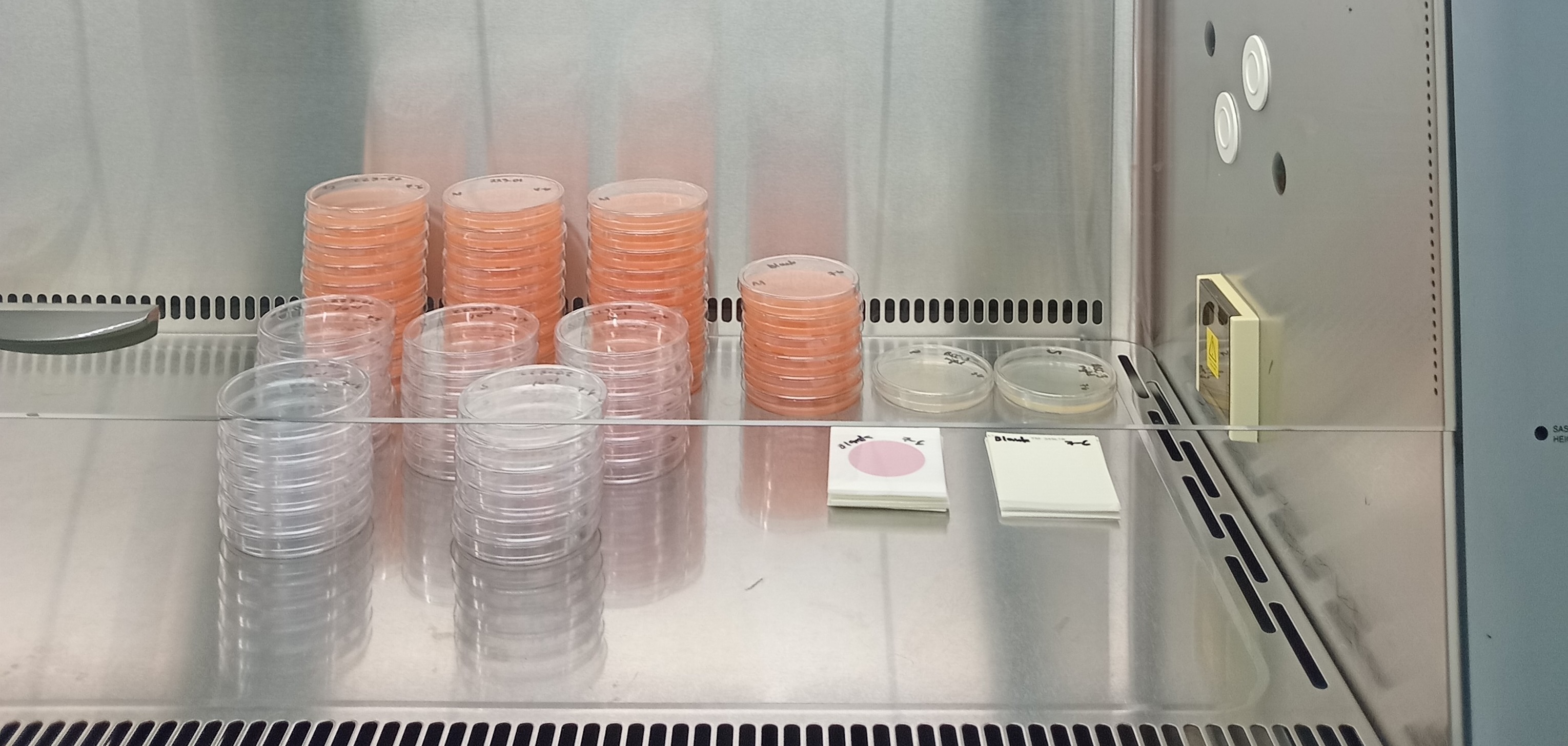 Biological Safety Cabinet
